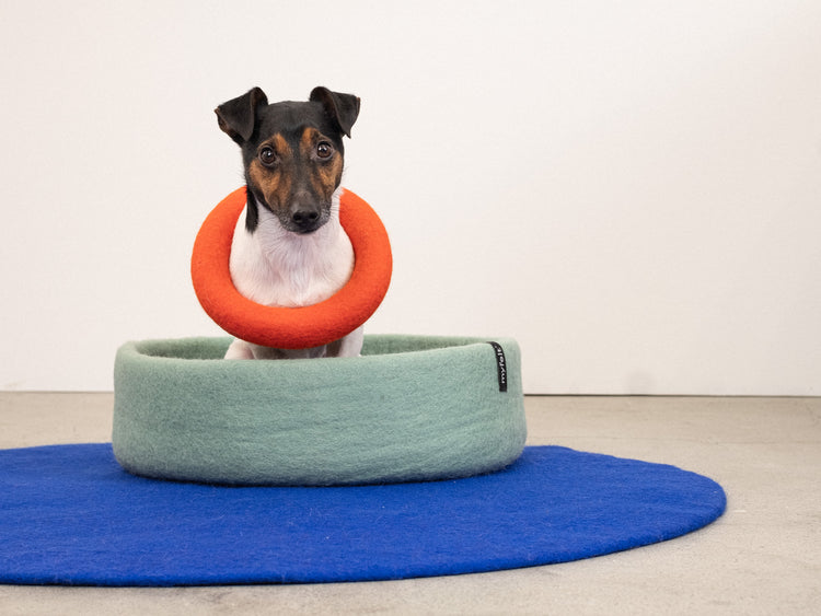 Fine Dog Basket