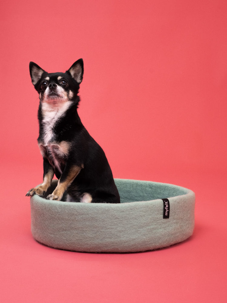 Fine Dog Basket