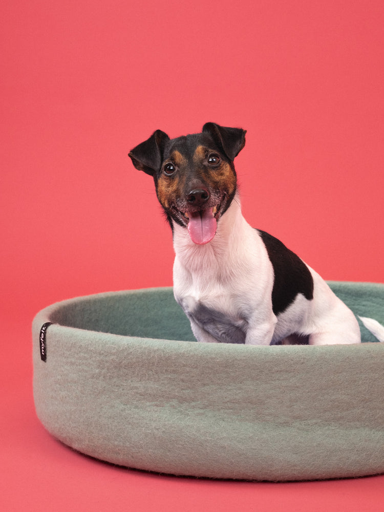 Fine Dog Basket