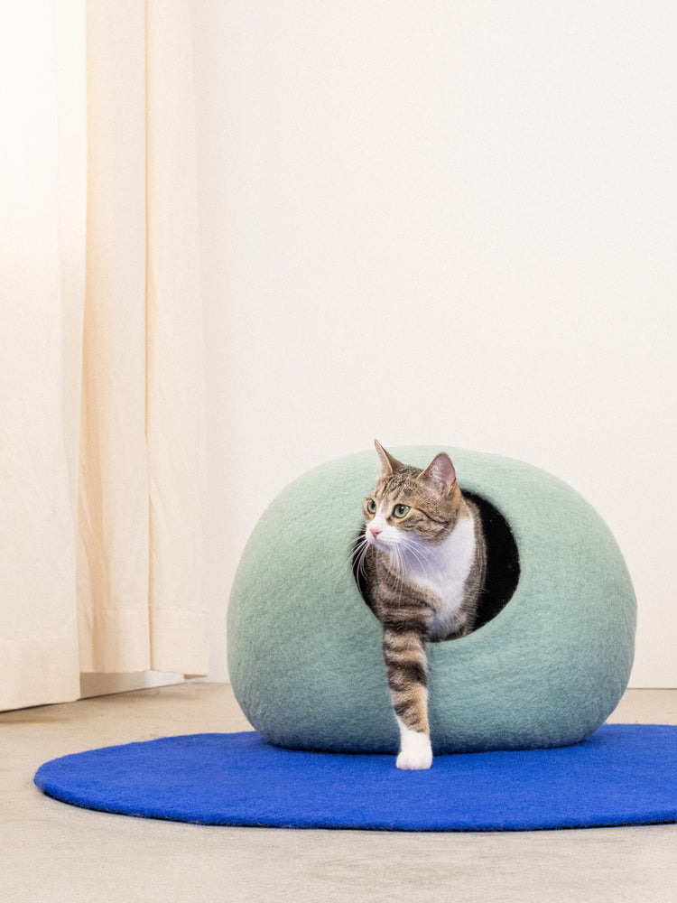 Fine Cat Cave