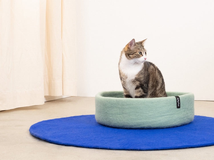 Fine Cat Basket