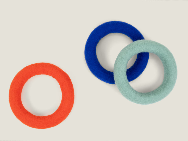 Isa Dog Toy - Ring