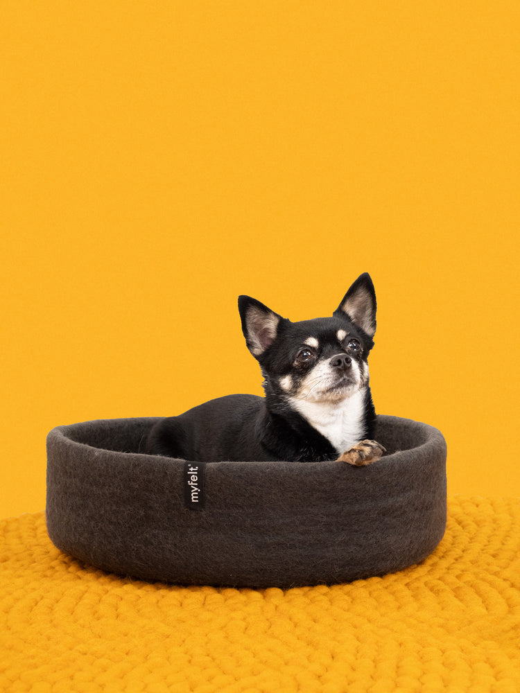 Kuno Dog Basket