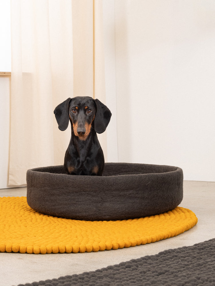 Kuno Dog Basket