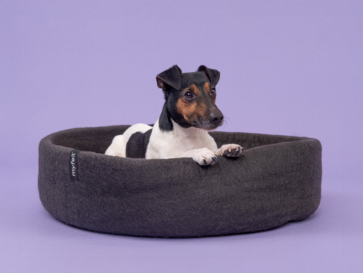 Kuno Dog Basket