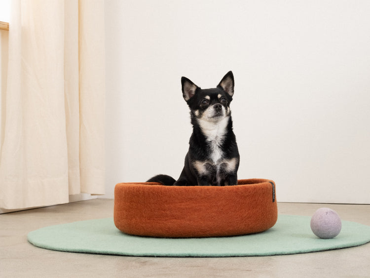 Lora Dog Basket