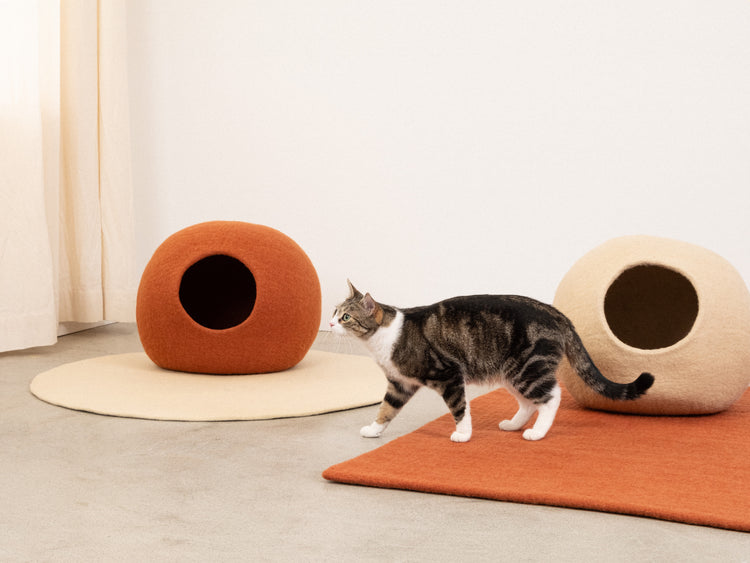 Lora Cat Cave
