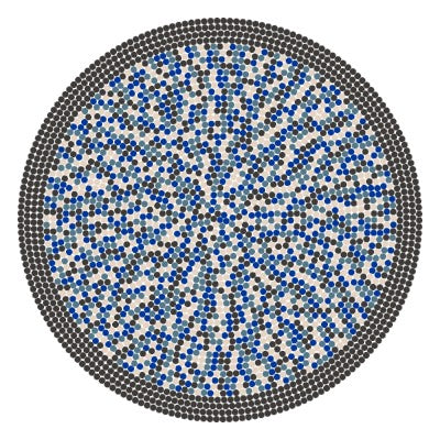 Сonfigurated rug