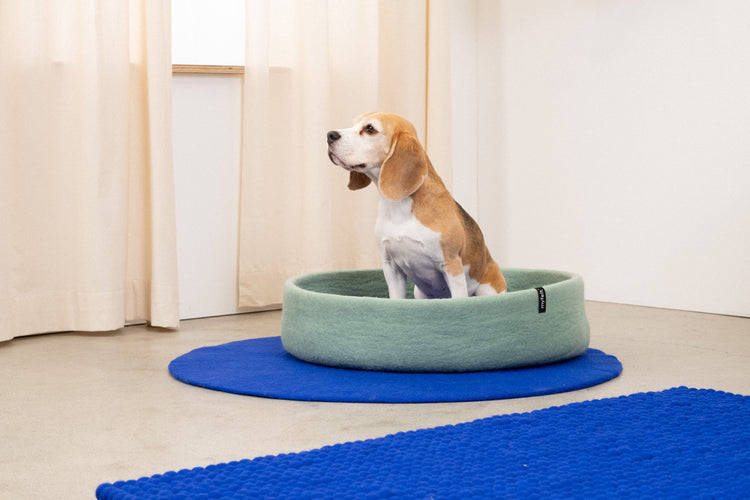 Fine Dog Basket