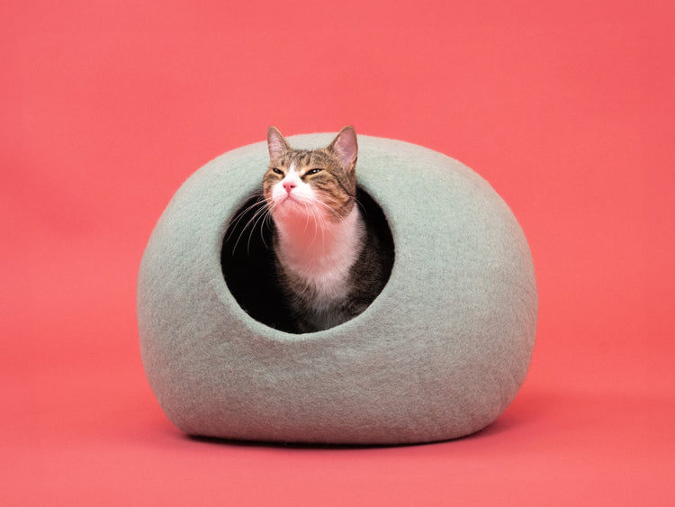 Fine Cat Cave