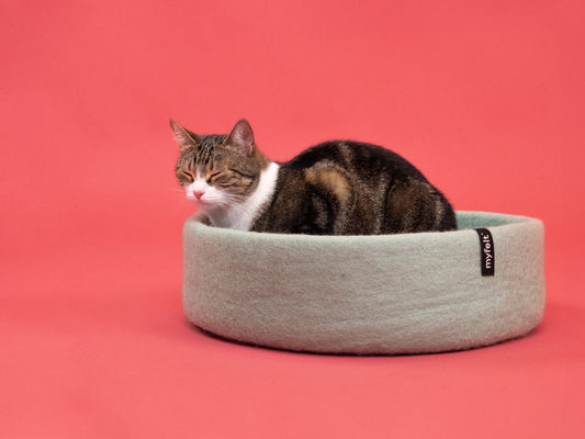 Fine Cat Basket