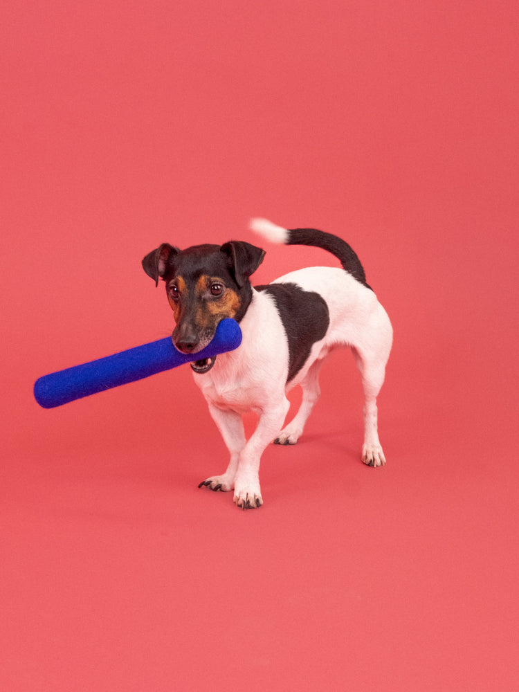 Mats Dog Toy - Stick