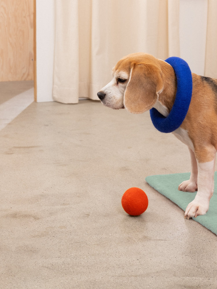 Fine Dog Toy - Ring